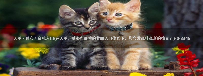 心糖vlog免费观看：天美丶糖心丶蜜桃入口(在天美、糖心和蜜桃的共同入口体验下，您会发现什么新的惊喜？)