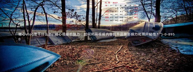 糖心vlog免费破解版：糖心vlog是干什么的(\