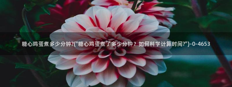 糖心vlog免费看