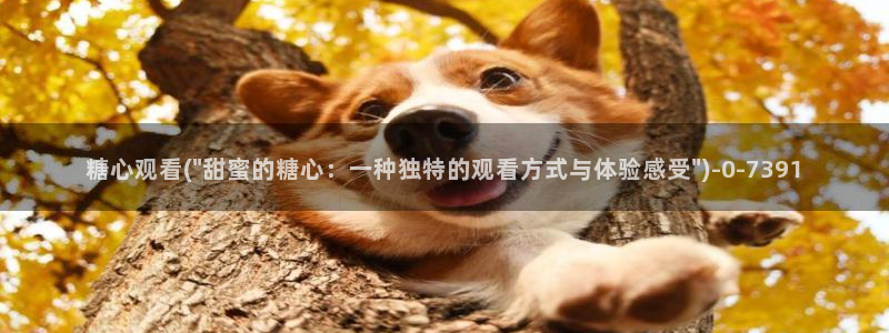 糖心vlog网页